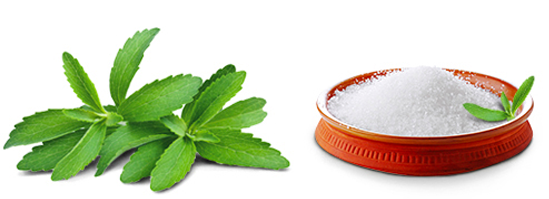 Stevia leaves beside a container of ground erythritol
